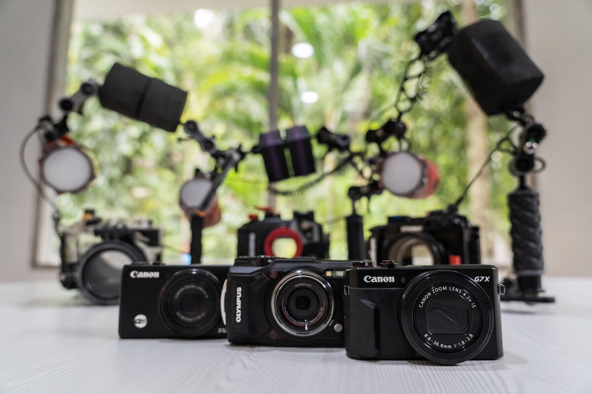16fb7966f459c93261099c42f76a8b2aaf904ba2dd3ad08367aa96103193b579 Underwater camera hire