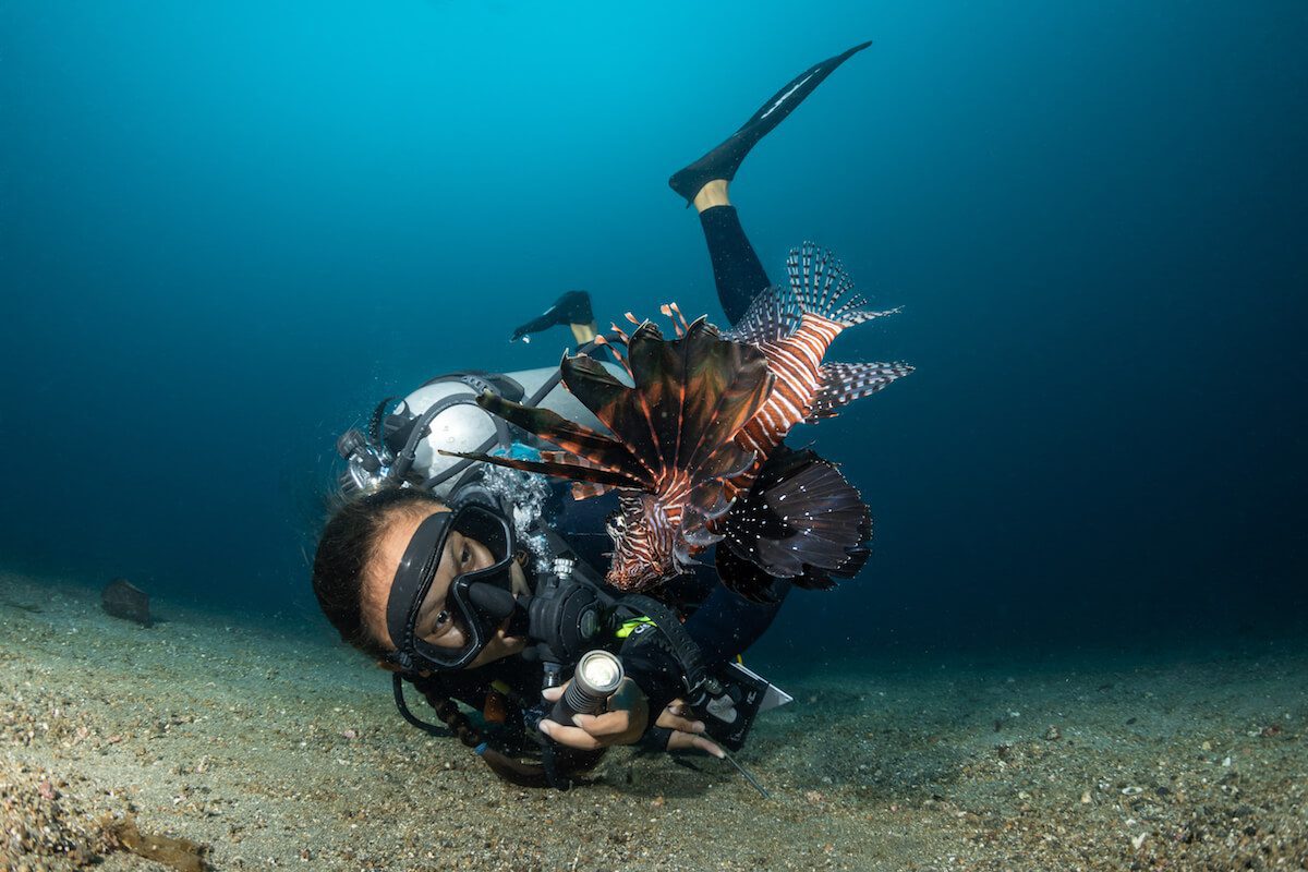 5f9cc370f3c61e16f9928025161f7c9fcc6aaeeed9a642eee520256eecc60e44 Lembeh Resort Dive Guide