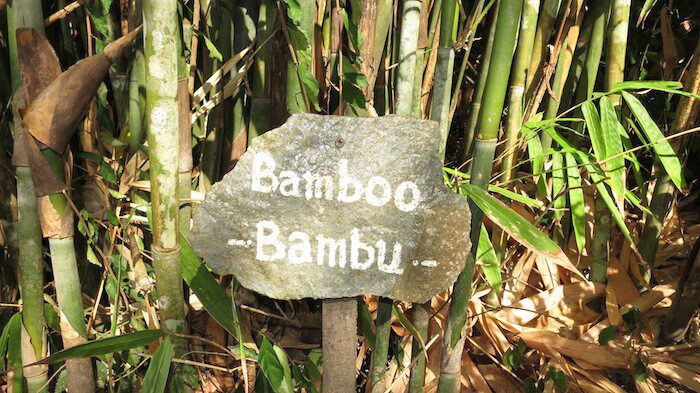 Bamboo Lembeh