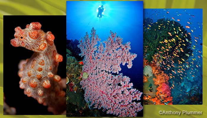 Could your photos win you prizes?!