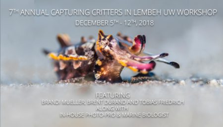Capturing Critters in Lembeh Workshop 2018