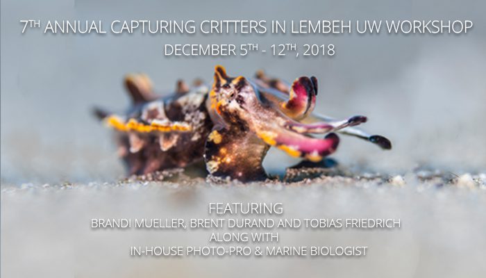 Capturing Critters in Lembeh Workshop 2018