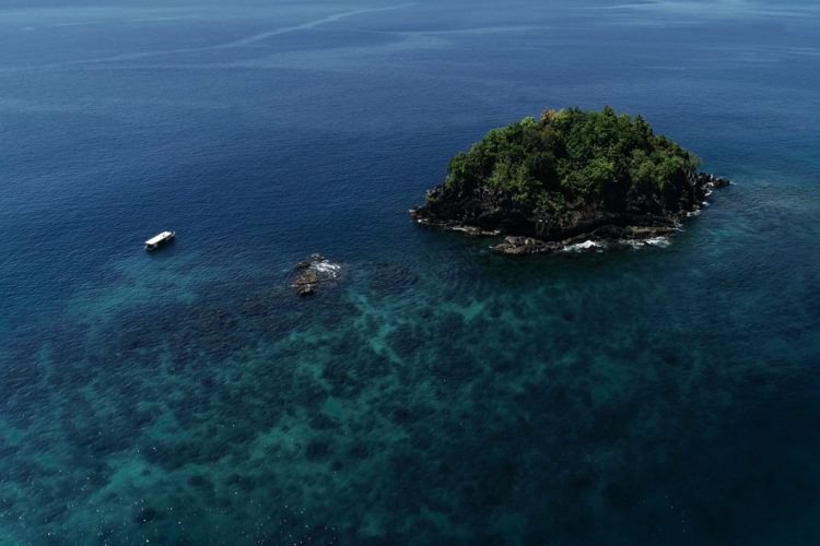 Coral Reef Diving in North Sulawesi