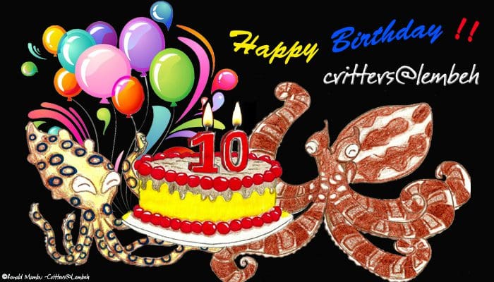 Thank You Divers World Wide for 10 Critter-filled Years of Support and Inspiration
