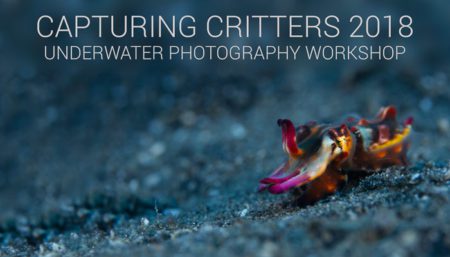 Capturing Critters 2018 Underwater Photography Workshop