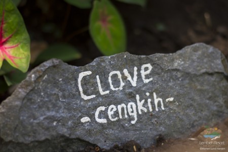 Clove---Lembeh-Resort