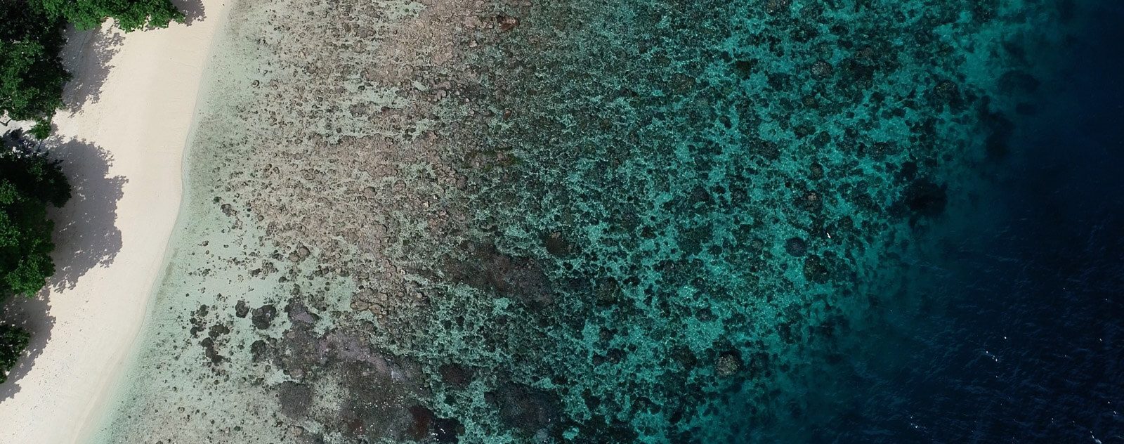 Coral Reef Snorkeling in Bangka