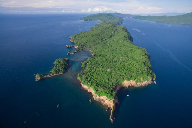 Coral Reefs in Lembeh