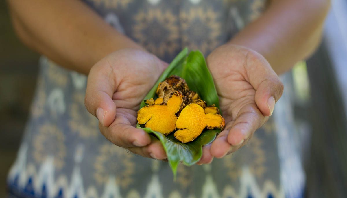 Using Home Grown Herbs to Create Classic Indonesian and Asian Cuisine
