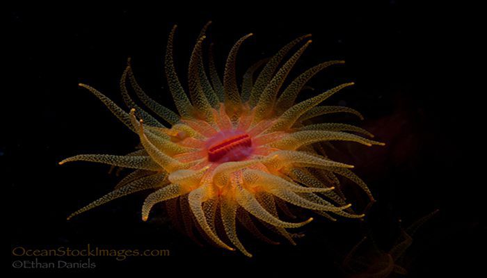 Things That Go Bump In the Night – Part II