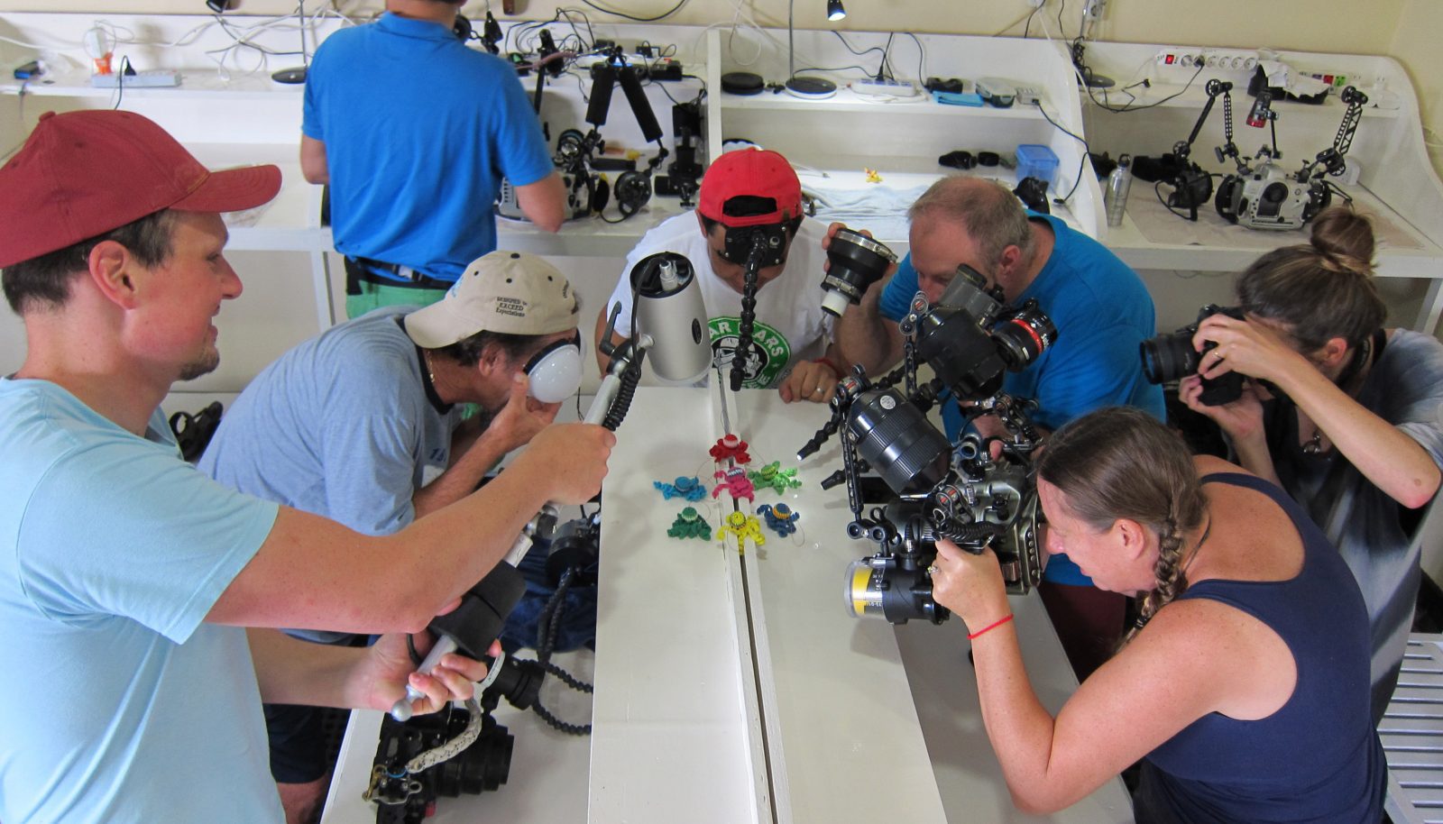 Lembeh Gulen Critter Shootout day 3 – Invertebrates Training Day