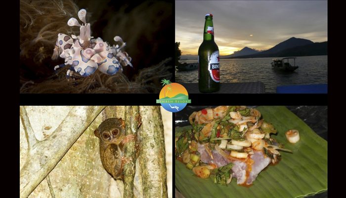 14 Useful Things for First-Time Visitors to Know About Lembeh