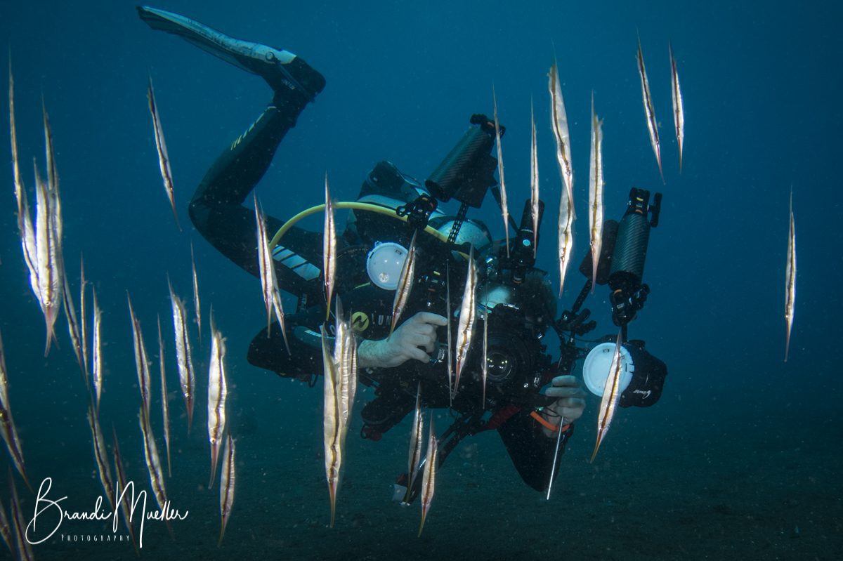 Responsible Diving by Brandi Mueller