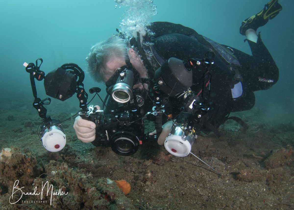 DSC_8801 Diving in Lembeh