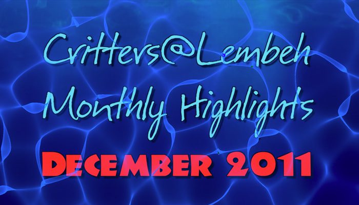 Monthly Highlights Video – December 2011