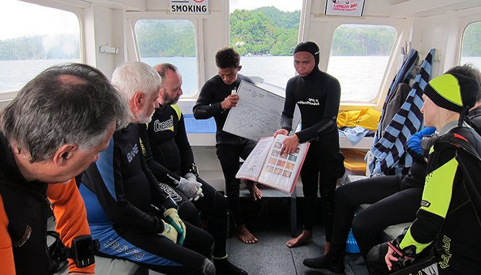 Diving in Lembeh