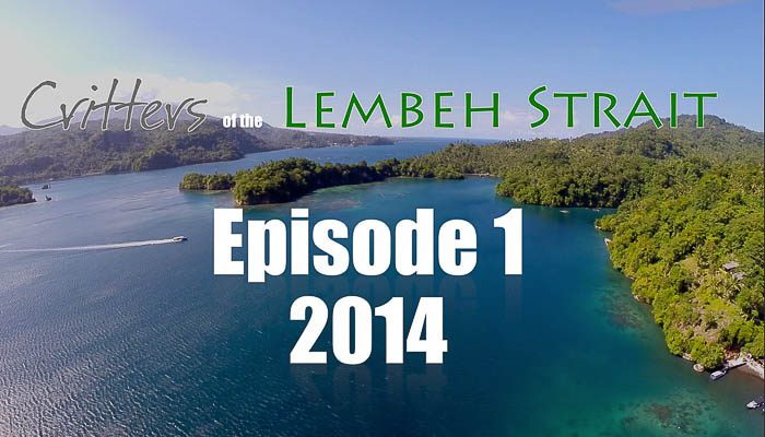 Critters Of The Lembeh Strait | Episode 1/2014