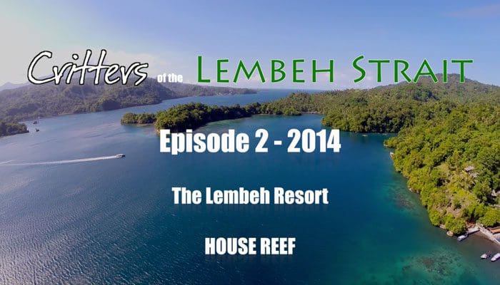 Critters Of The Lembeh Strait | Episode 2/2014