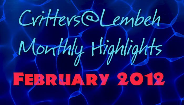 February Highlights Video