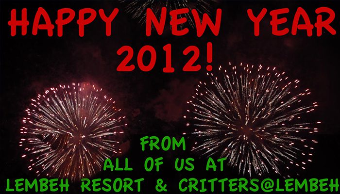 Welcoming 2012 in Style at Lembeh Resort!