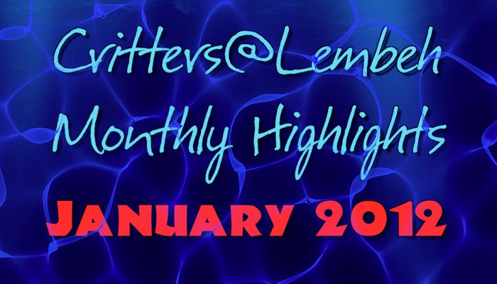 Monthly Highlights Video – January 2012