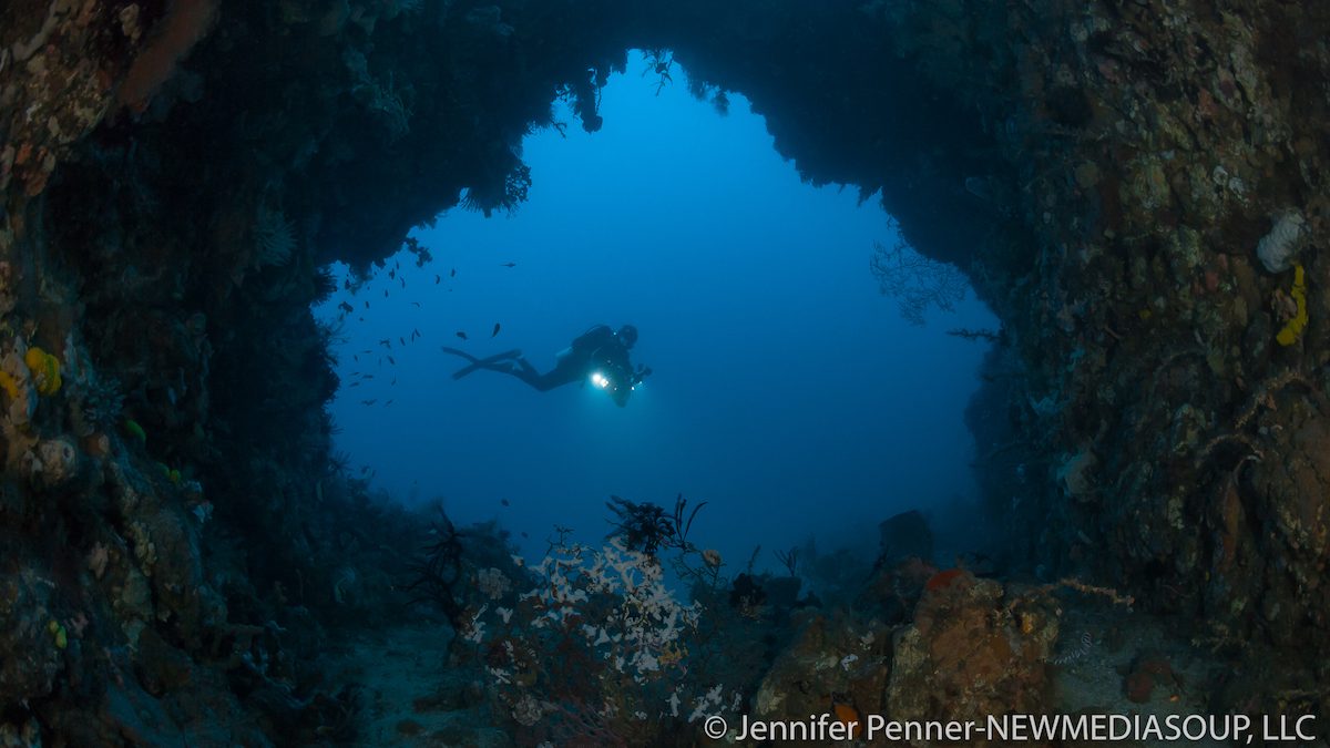 Diver in Angel's Window, Lembeh, North Sulawesi