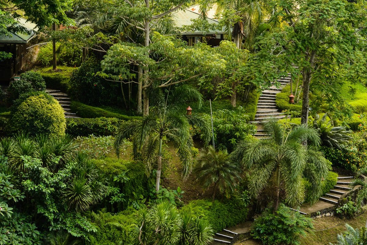 Lembeh Resort Jungle Garden