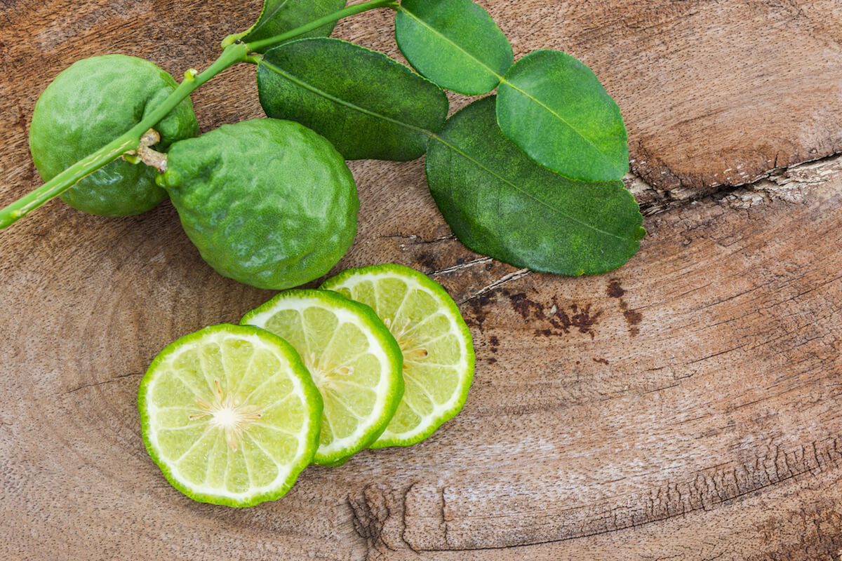 Kaffir Lime (bergamot). kaffir lime