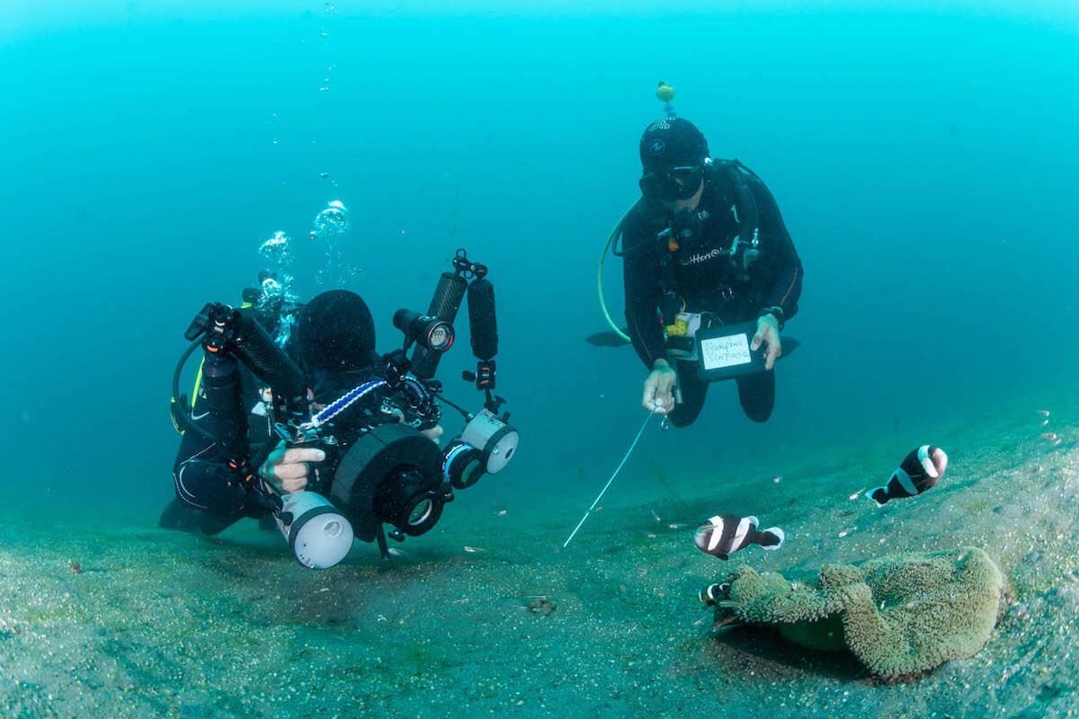 LR DIving Servs copy Luxury Diving in Lembeh