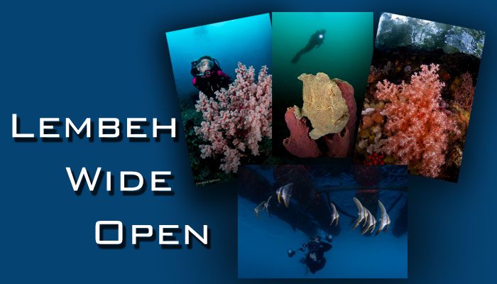 Lembeh Wide Open – Huge Success