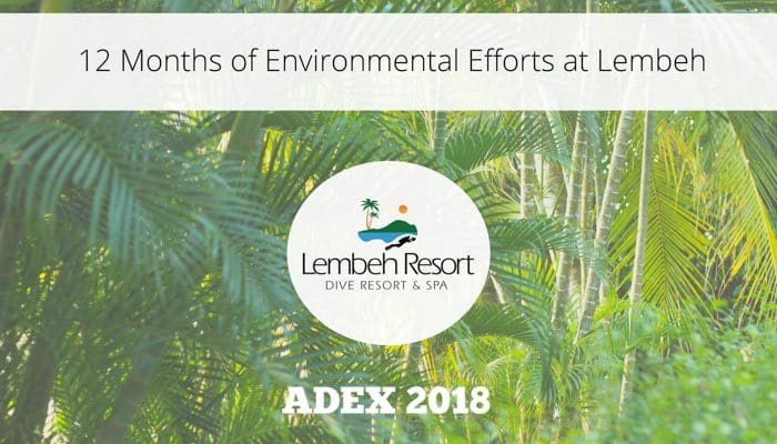 Keeping Green at Lembeh Resort