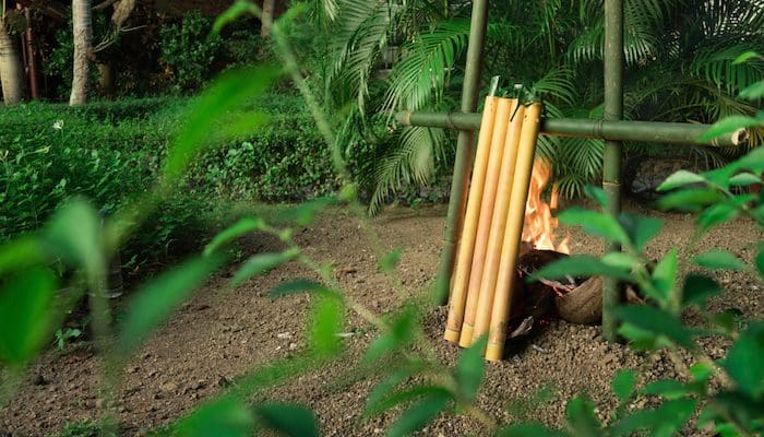 bamboo for cooking