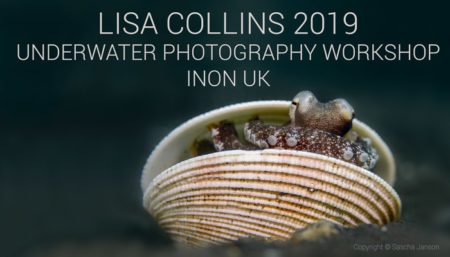 Lisa Collins Underwater Photography Workshop 2019