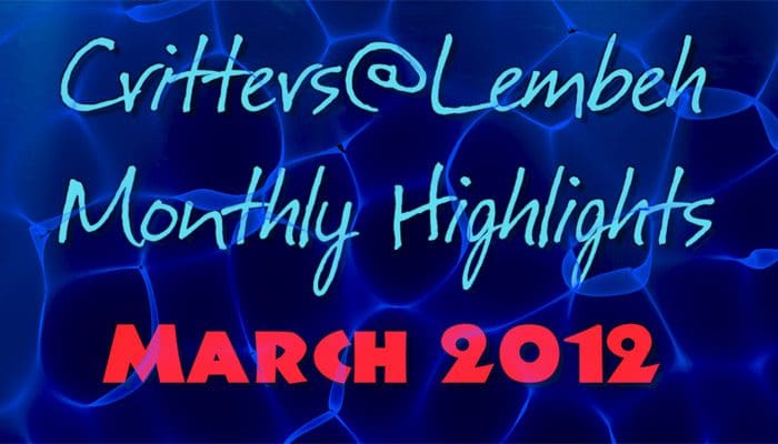 March Highlights Video