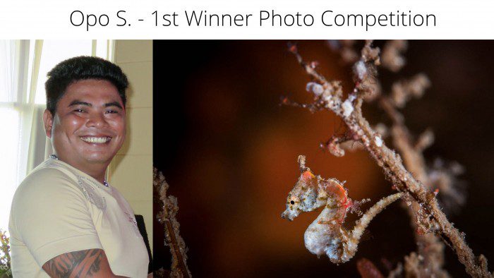 Opo-Photocompetition