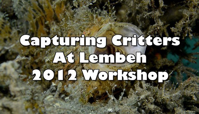 Capturing Critters @ Lembeh – Video Seminar Final Project
