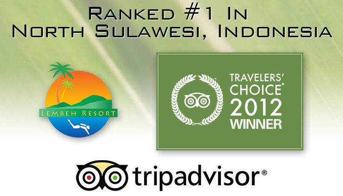 100 Excellent Reviews on TripAdvisor!