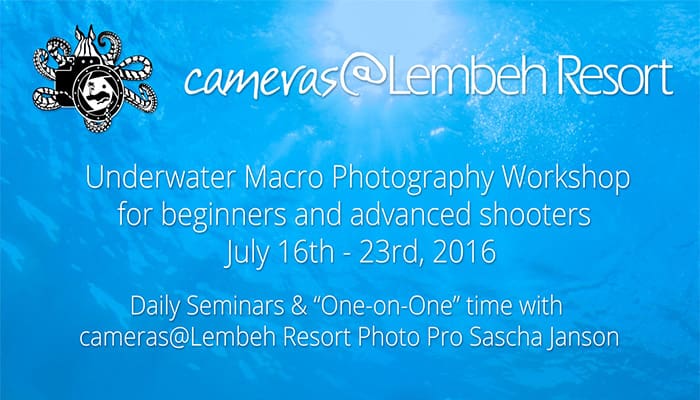Underwater Macro Photography Workshop – July 16th to 23rd, 2016