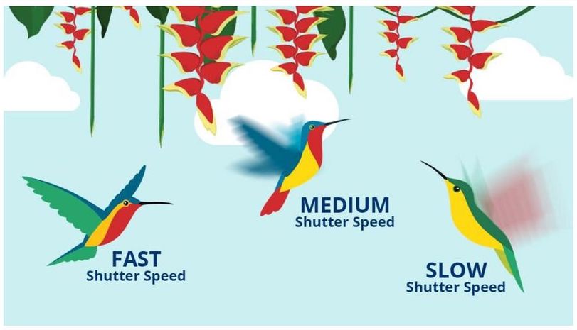 shutter speed