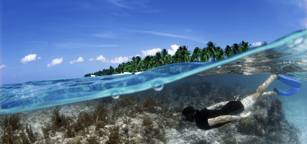 Sulawesi Snorkeling