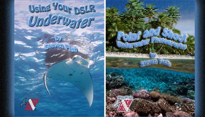 Our Photo-Pro Steve Fish’s new UW Photography Books are now on iTunes