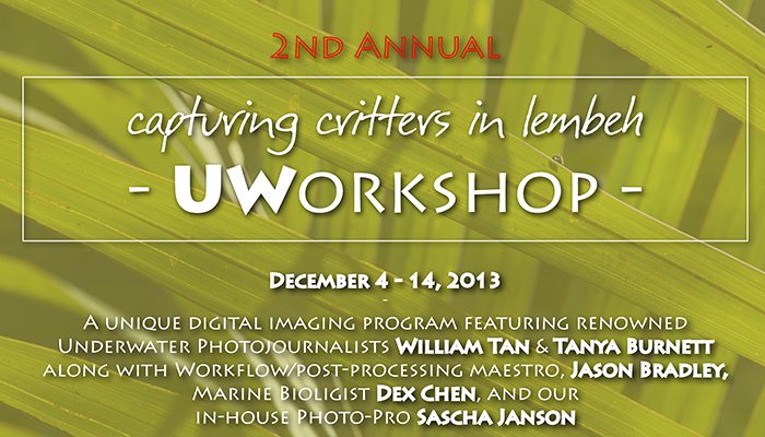 2nd Annual Capturing Critters in Lembeh – UW Workshop December 4-14, 2013