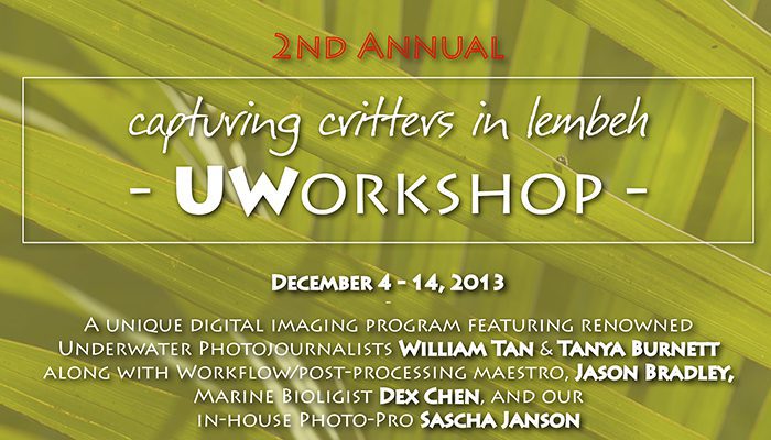 2nd Annual “Capturing Critters in Lembeh”