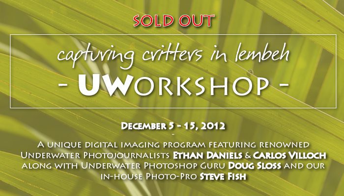 Sold Out – “Capturing Critters in Lembeh” an Underwater Workshop