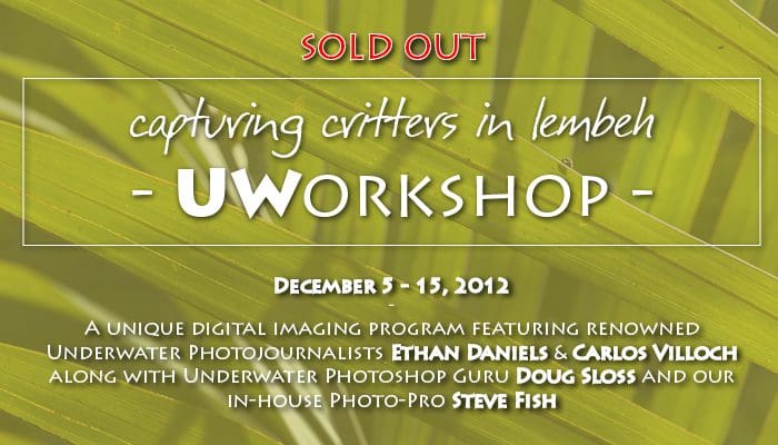 Sold Out – «Capturing Critters in Lembeh» an Underwater Workshop