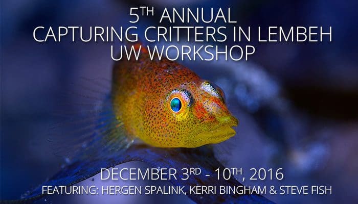 5th Annual Capturing Critters in Lembeh – Underwater Photography Workshop December 3rd – 10th, 2016