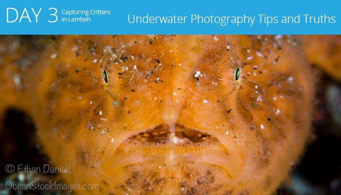 Capturing Critters in Lembeh 2017 - workshop