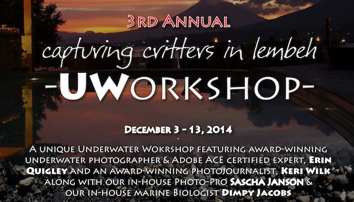3rd Annual Capturing Critters in Lembeh – UW Workshop December 3-13, 2014