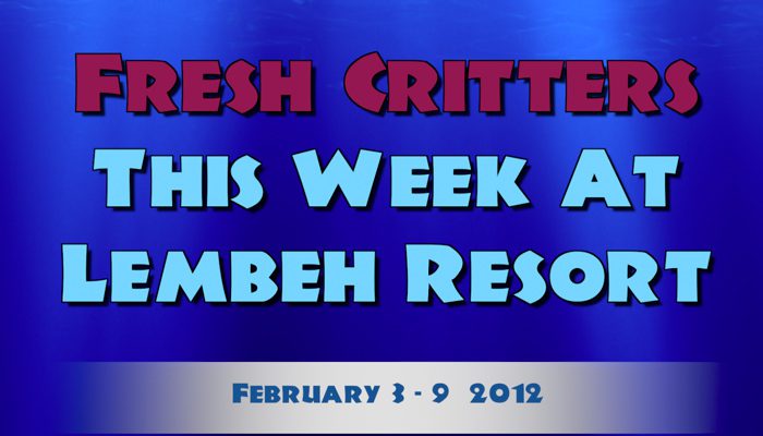 Catch our weekly Critter update produced by our in-house Photo & Video Center.