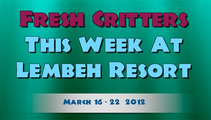 Catch our weekly Critter update produced by our in-house Photo & Video Center.